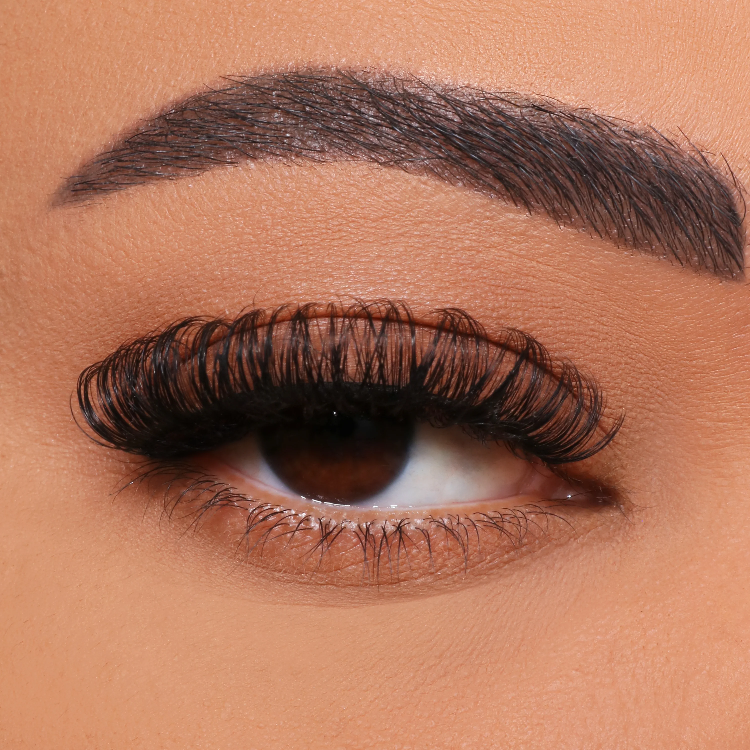 DIY मल्टी-फ्लोवर बरौनी ग्राफ्टिंग कैसे करें?